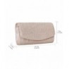 Gyeitee Evening Pleated Envelope Champagne