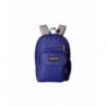 JanSport Unisex Digital Student Backpack