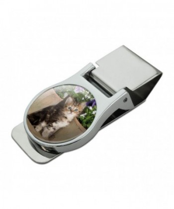 Ragdoll Tiffany Kitten Flower Chrome