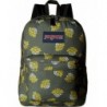 JanSport Unisex SuperBreak Muted Green