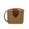 Straw Woven Bag Crossbody Messenger