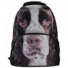 Animal Springer Spaniel Backpack Stereographic